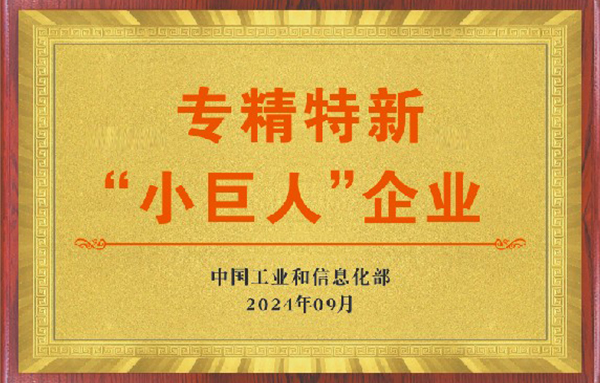 喜讯 | 立普医疗获评国家级专精特新“小巨人”企业！